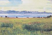 Ferdinand Hodler Lake Geneva from St Prex (nn02) Spain oil painting artist